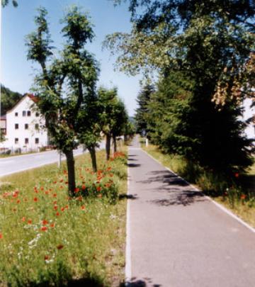 Fussweg Oberschlottwitz