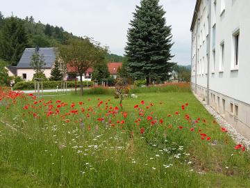 Müglitztalstraße