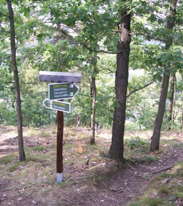 Wanderweg Lederberg